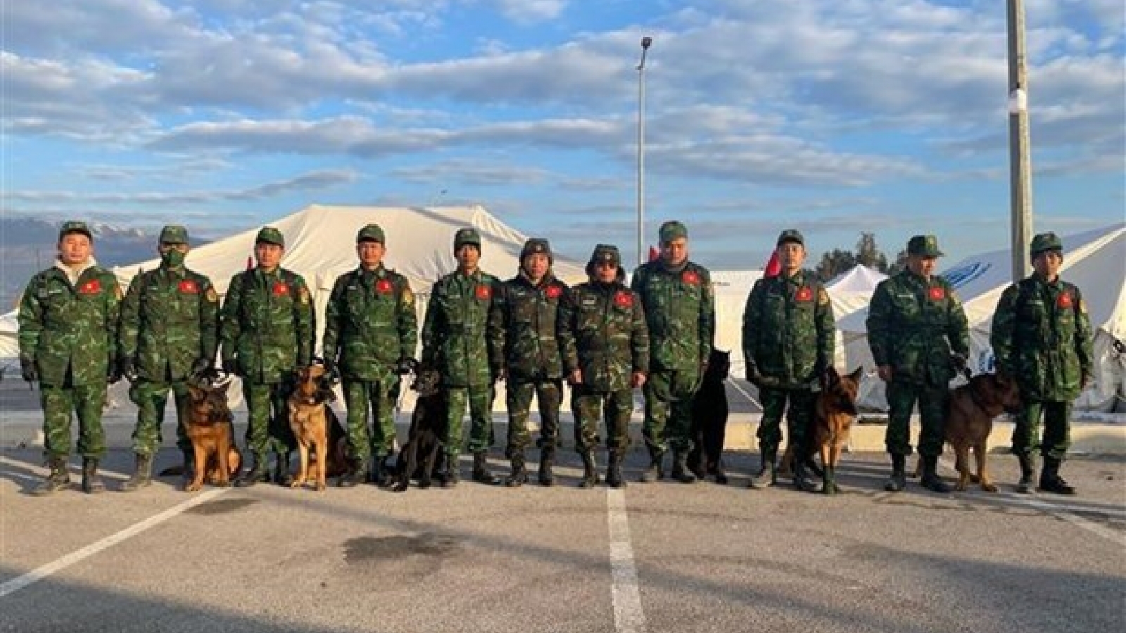 Vietnam’s search-and-rescue dogs work effectively in Turkey