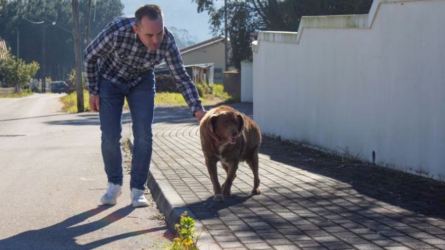 Chú chó già nhất thế giới được ghi danh vào sách kỷ lục Guinness