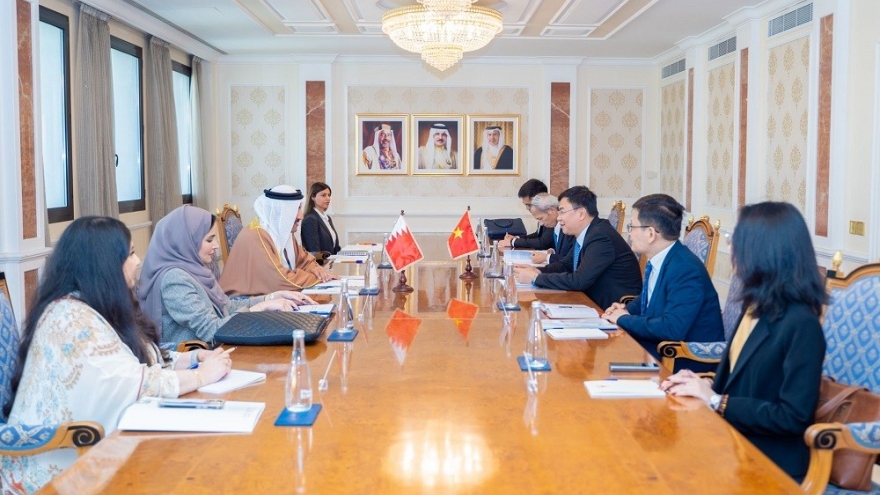 Vietnam, Bahrain hold political consultation, expand cooperation