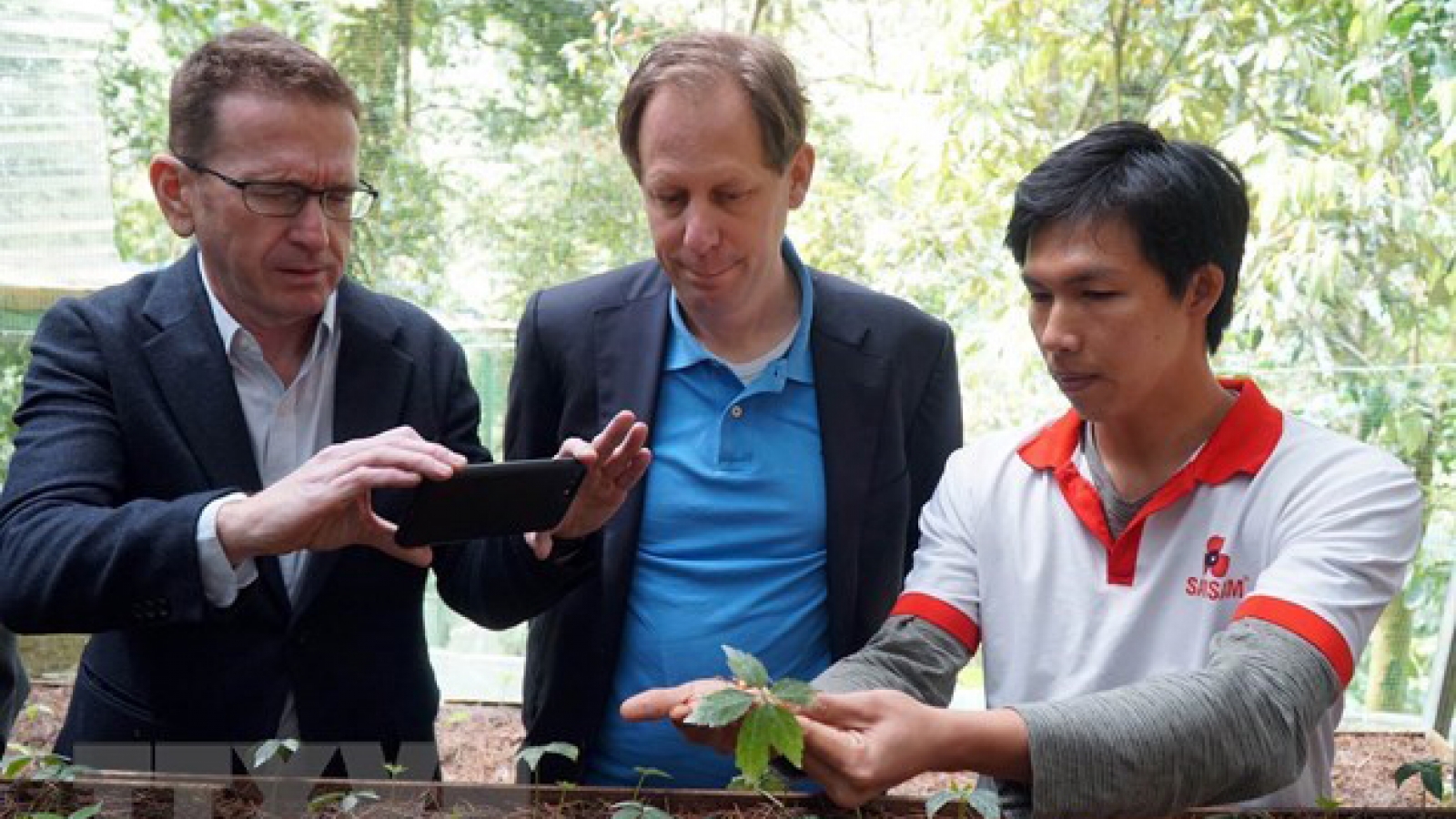 Foreign experts inspect Ngoc Linh ginseng cultivation in Quang Nam