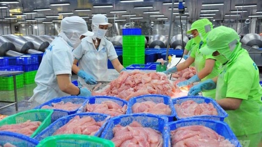 China begins large purchase of Vietnamese tra fish