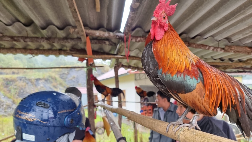 Unique specialties go on sale at Vietnam-Laos border market