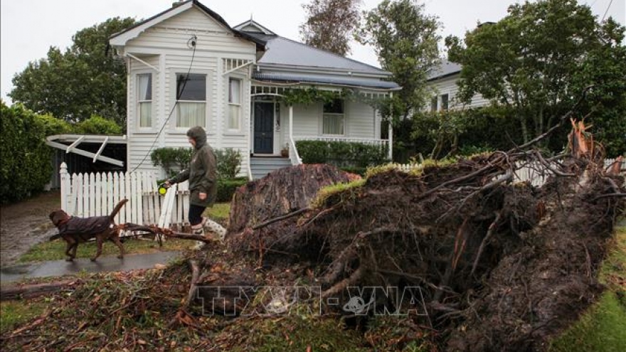 Thủ tướng gửi điện thăm hỏi New Zealand bị ảnh hưởng bởi cơn bão Gabrielle