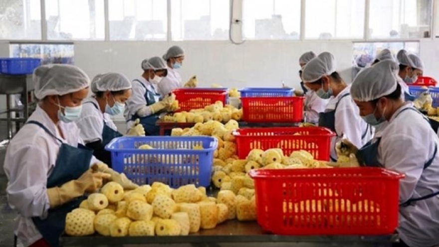 China issues 435 codes for Vietnamese agricultural product exporters