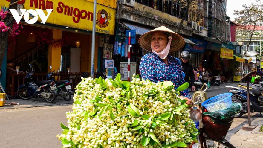 Hà Nội vào mùa hoa bưởi dịu dàng tỏa hương trên phố