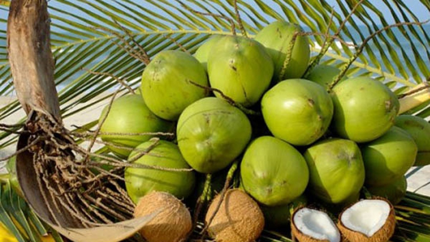 Coconut exports likely to reach US$1 billion this year