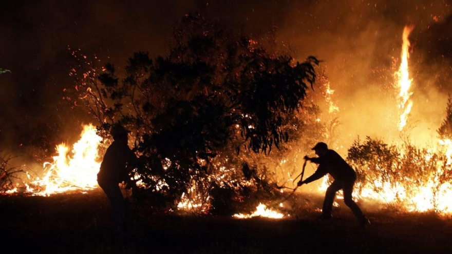 Chile kêu gọi sự giúp đỡ từ cộng đồng quốc tế để dập tắt cháy rừng