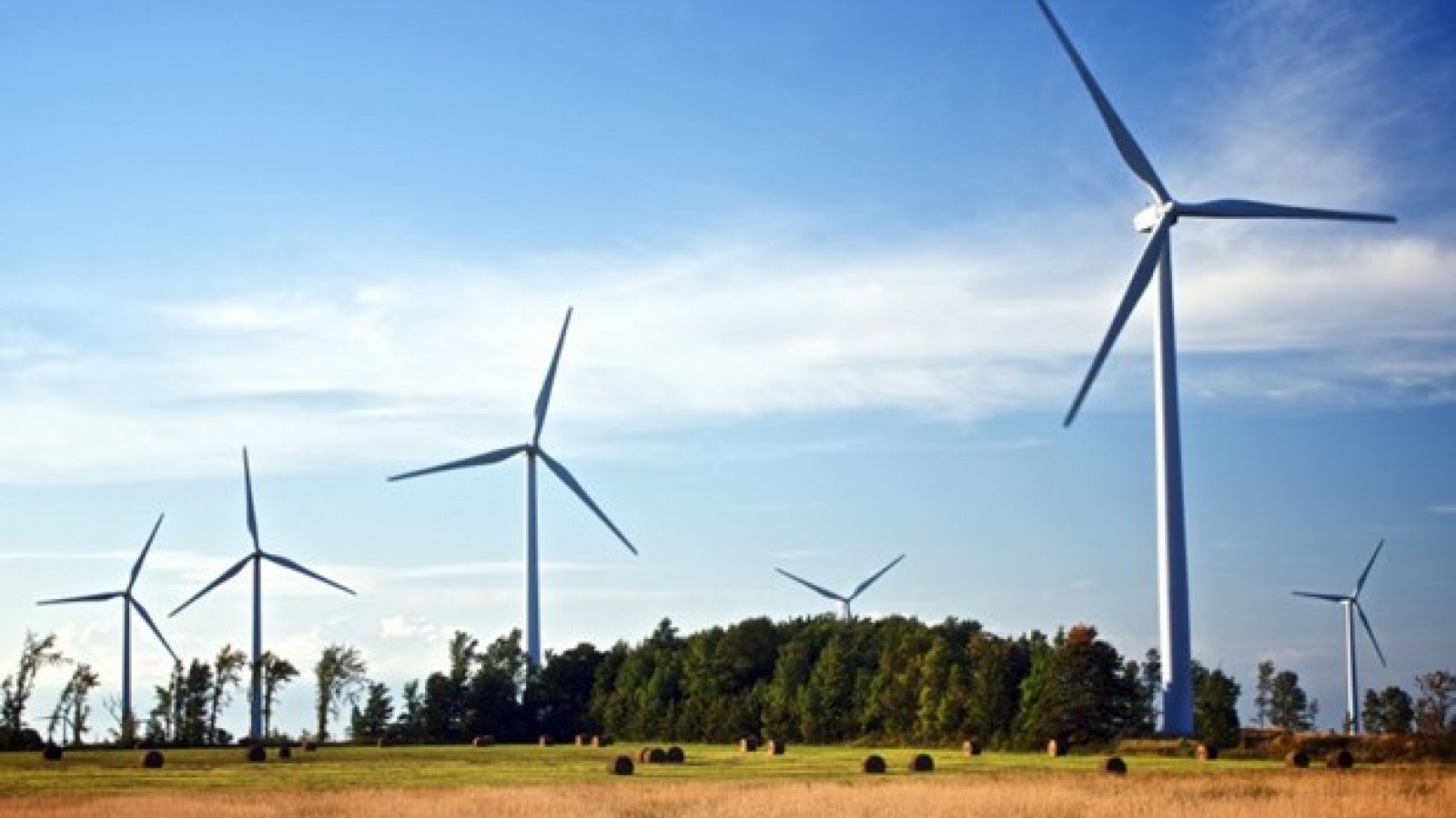 Industry-trade sector aims to reduce greenhouse gas emission by up to 30%