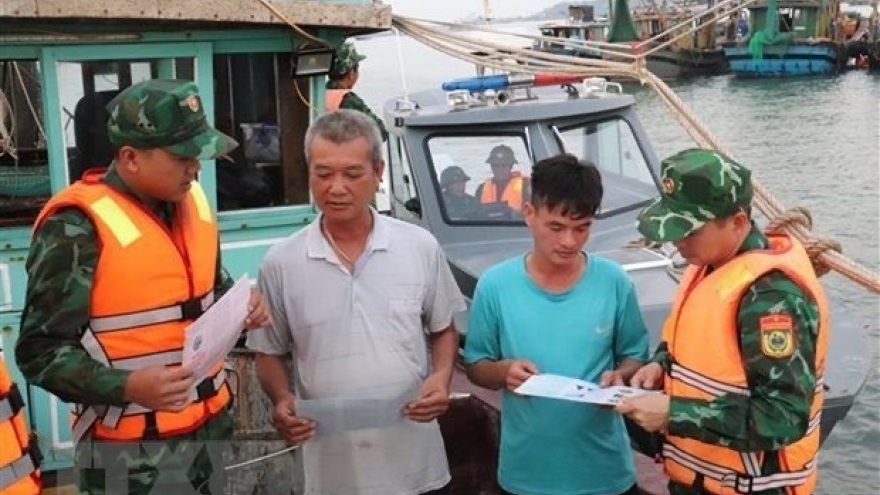 Kien Giang implements 180-day IUU fishing combat drive