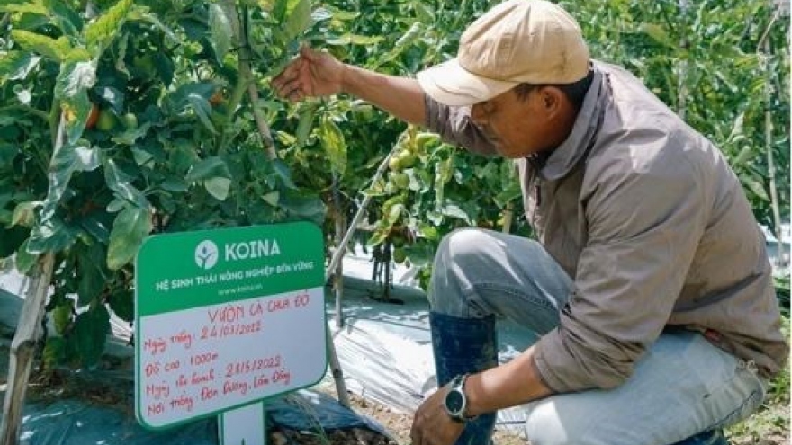 VinaCapital Ventures pours US$1 million into agritech startup