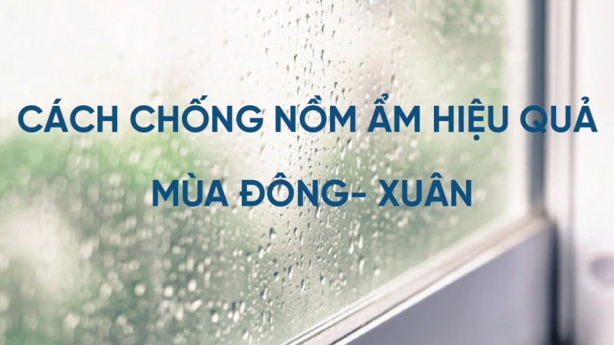 Cách chống nồm ẩm hiệu quả mùa đông - xuân