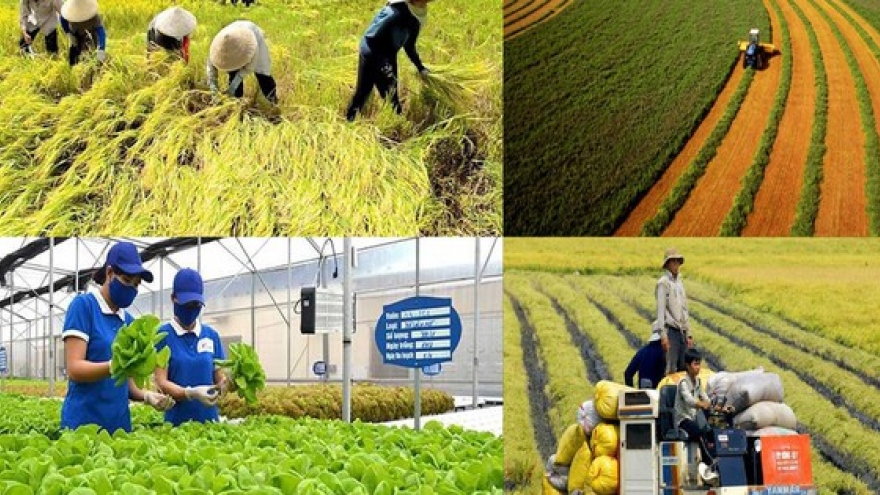 Agricultural sector aims for US$25 billion in FDI by 2030
