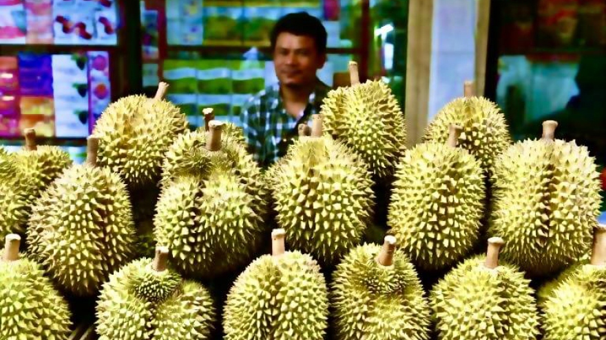 Sầu riêng Philippines vào Trung Quốc tạo ra “cuộc đua nóng”