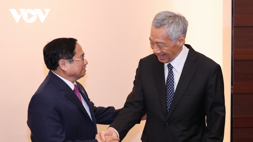 Thủ tướng thăm Singapore và Brunei, thúc đẩy “Ngoại giao cây tre" độc lập, linh hoạt