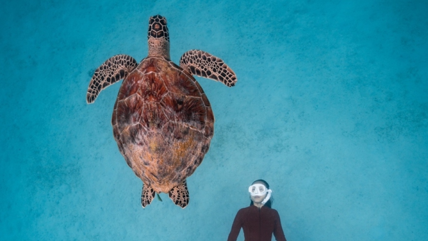 Local photographer wins Sony World Photography Awards 2023