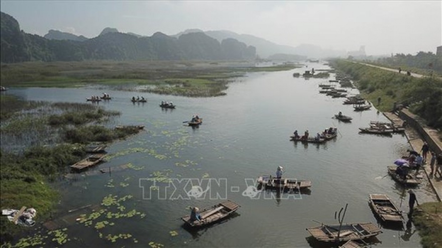 Conservation of wetland habitats contributes to carbon storage