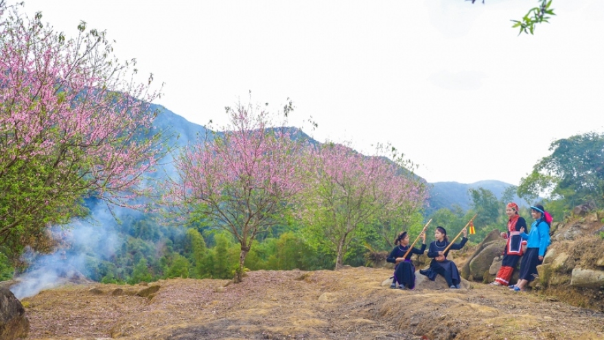 Mùa xuân trên đỉnh Cao Ba Lanh