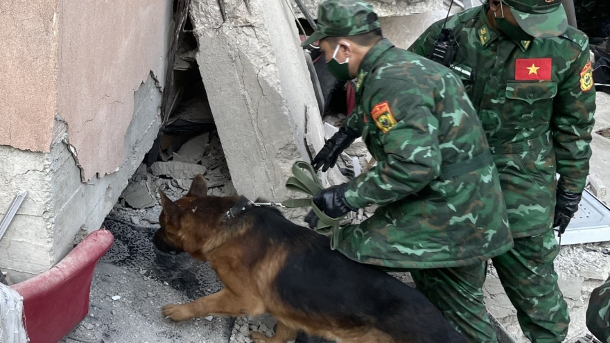 Cận cảnh đội chó nghiệp vụ của Việt Nam tìm kiếm nạn nhân ở Thổ Nhĩ Kỳ 