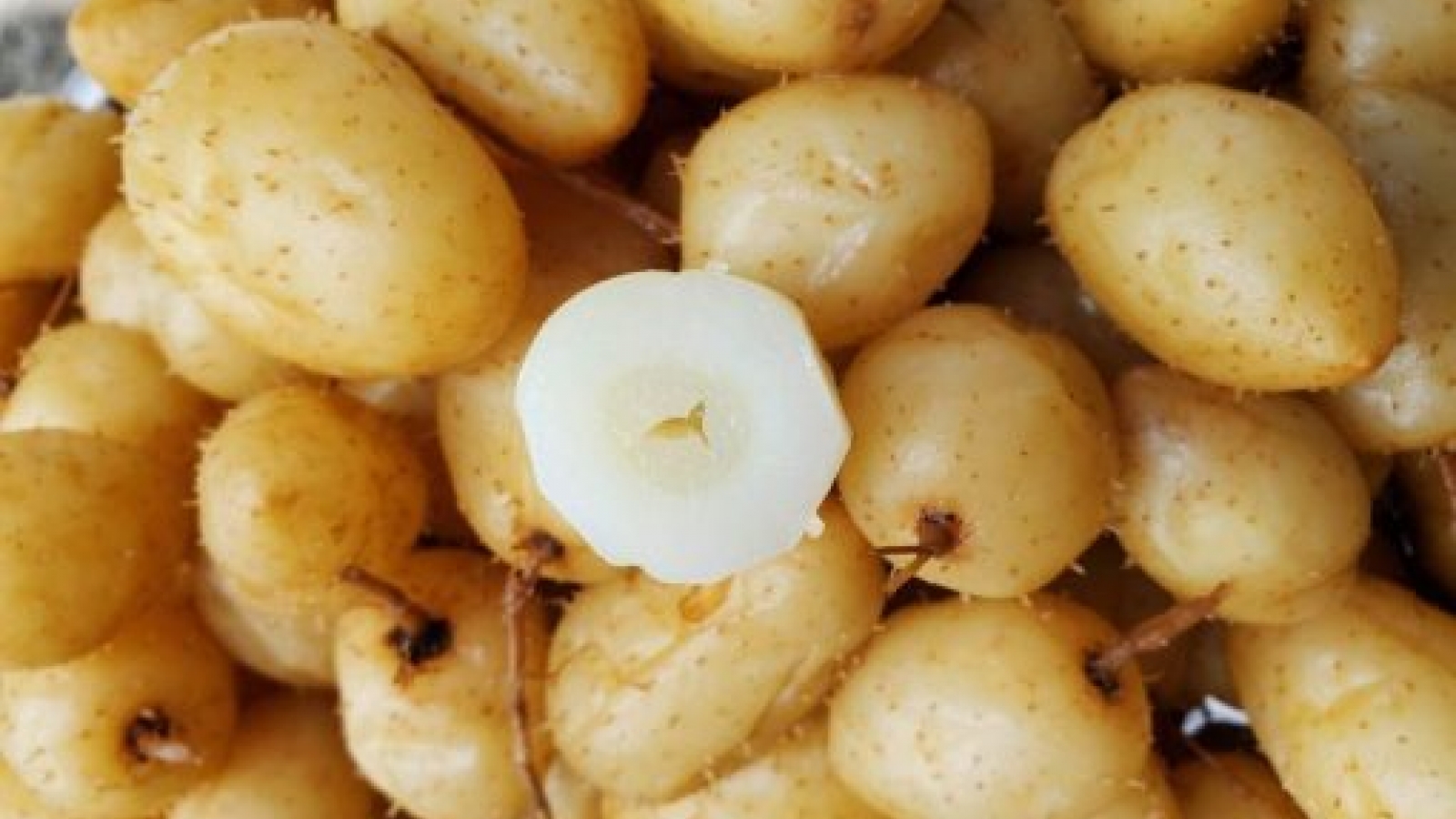 Dân buôn “hốt bạc” từ củ lạ miền Tây