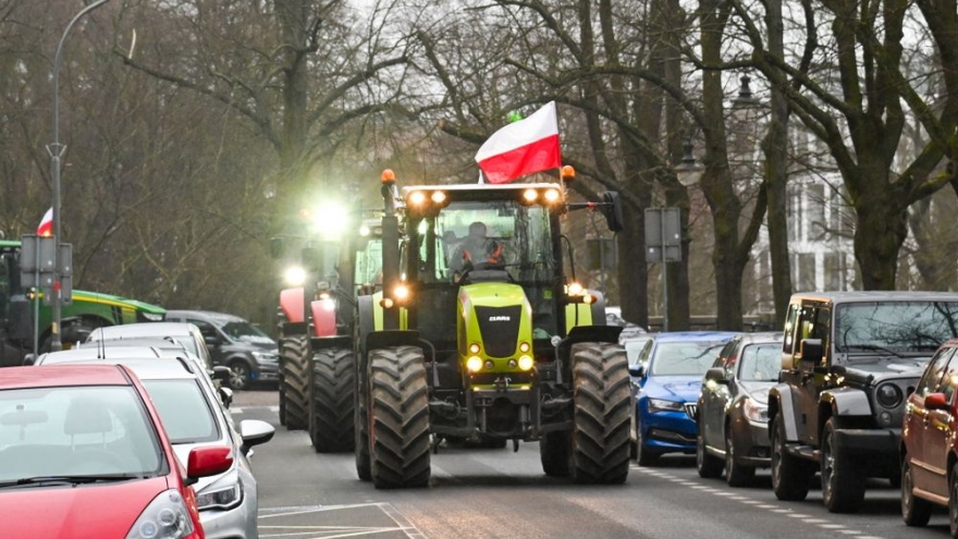 EU bồi thường thiệt hại cho Ba Lan do nhập khẩu ngũ cốc của Ukraine
