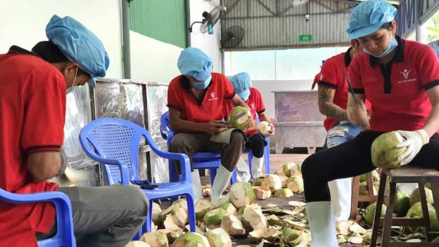 US weighs restarting coconut imports from Vietnam