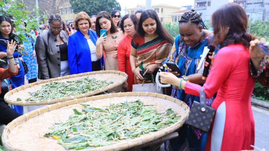 Female diplomats learn about silk weaving in Vietnam