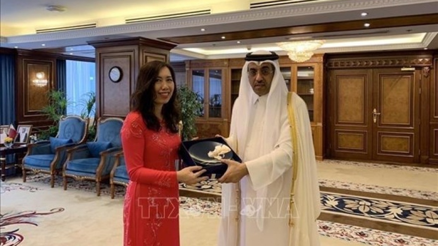 Deputy FM Le Thi Thu Hang busy in Qatar