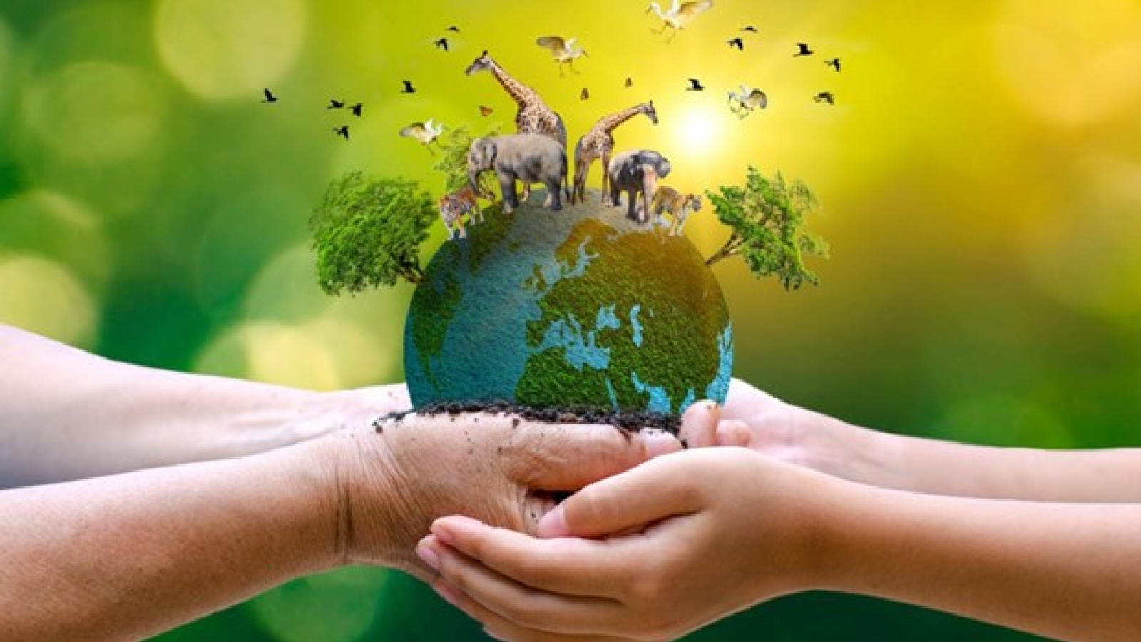 Wildlife protection requires joint efforts from all stakeholders