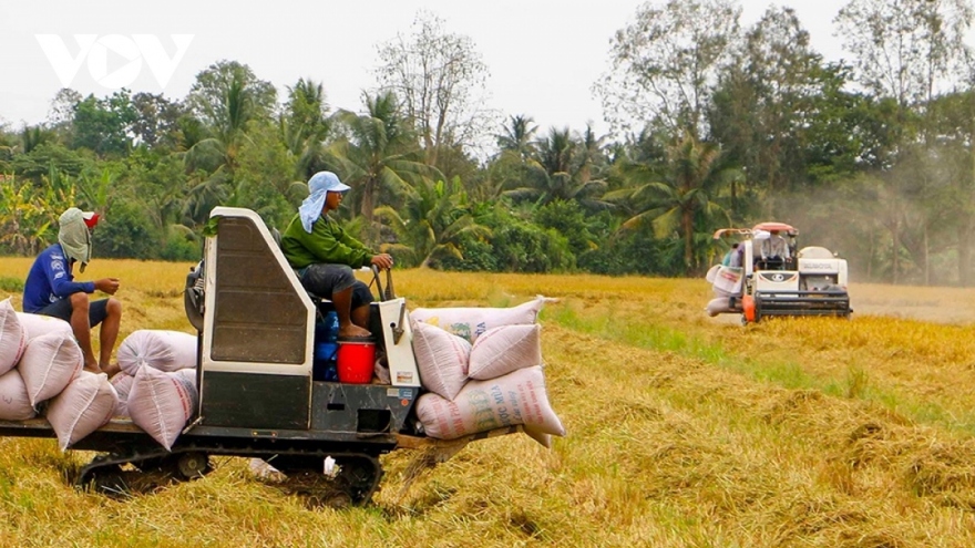 Xuất khẩu gạo sang Indonesia tăng đột biến, Bộ Công Thương khuyến cáo rủi ro