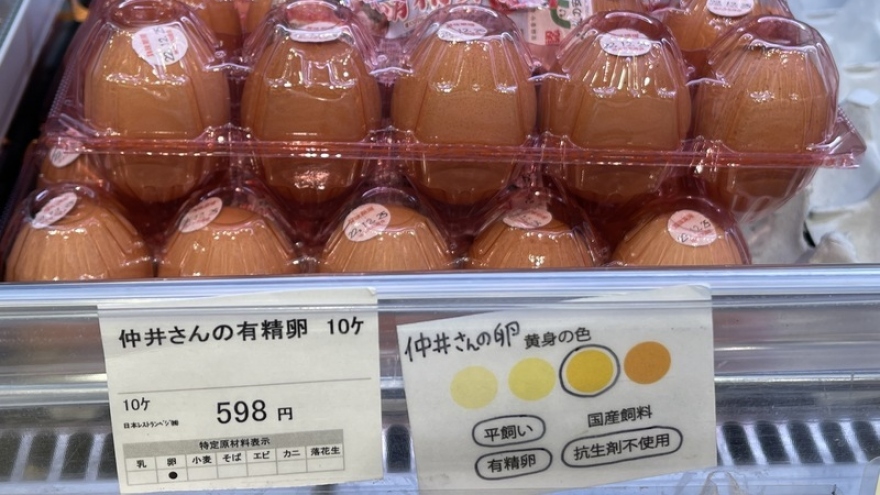 Giá trứng gà tại Nhật Bản tăng cao do dịch cúm gia cầm lan rộng