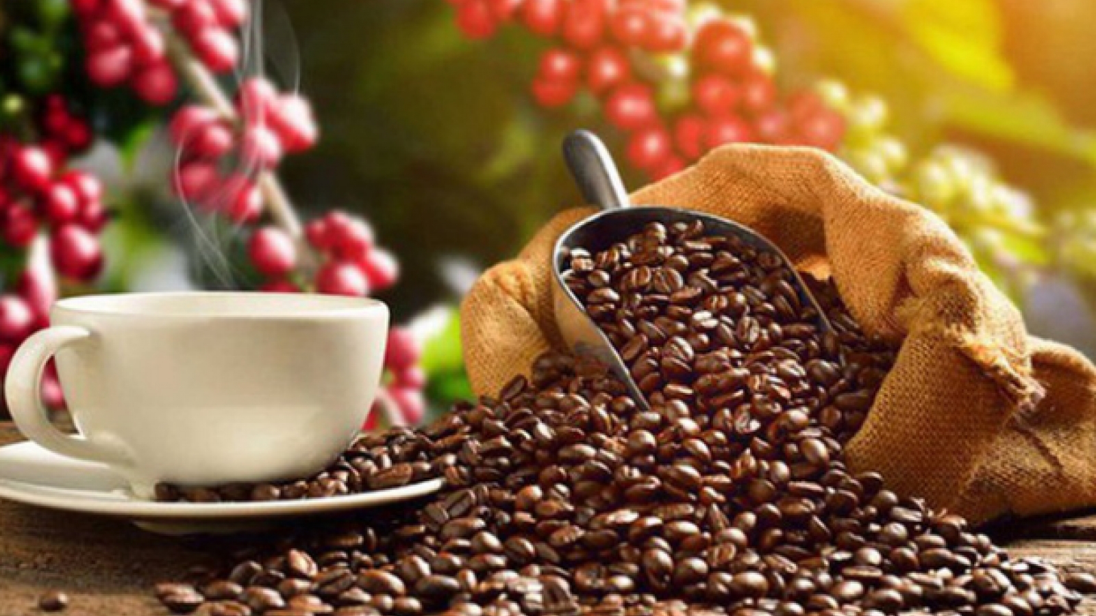 Vietnam is largest coffee supplier to Spain