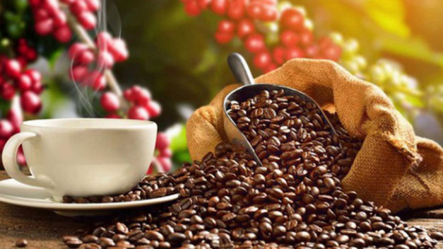 Vietnam is largest coffee supplier to Spain