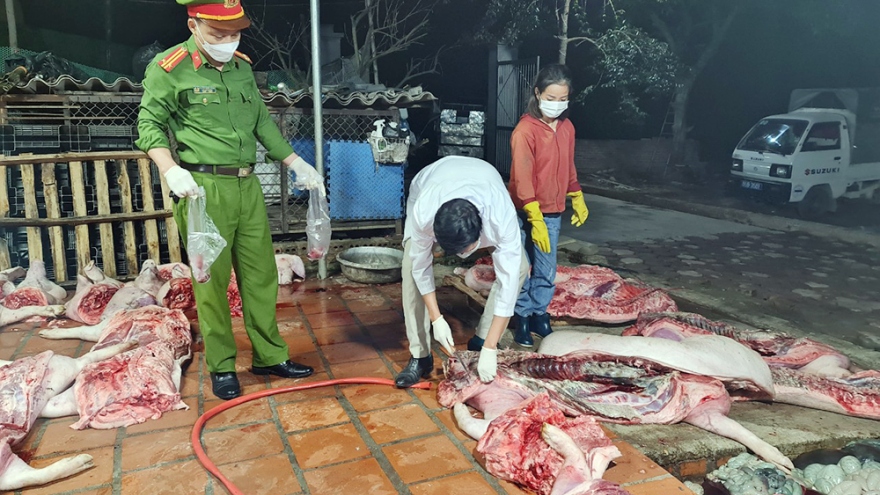 Phát hiện cơ sở giết cả tấn lợn chết để đưa sang Bắc Ninh tiêu thụ