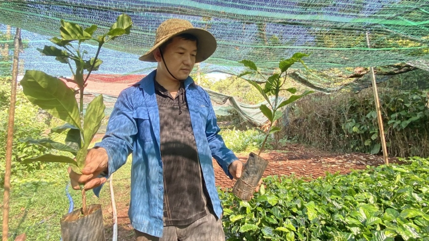 Nhiều đảng viên đi đầu, làm kinh tế giỏi