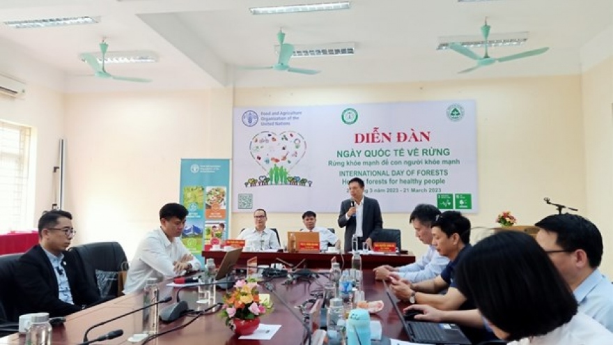 Forum marks International Day of Forests