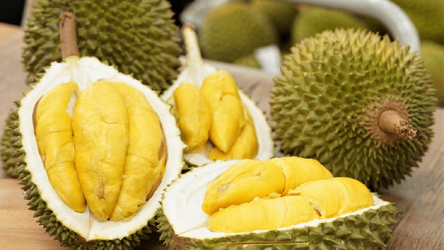 China approves 246 Vietnamese durian growing area codes