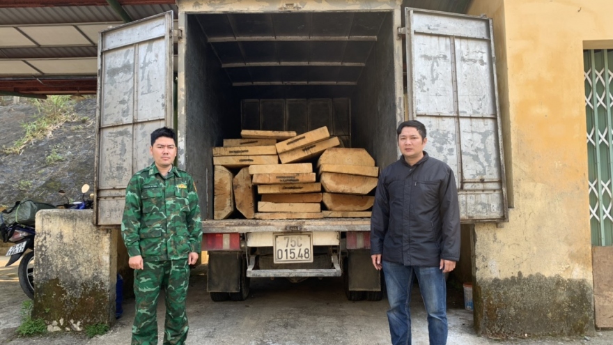 Phát hiện xe tải chở 19 phách gỗ lậu tại Thừa Thiên Huế