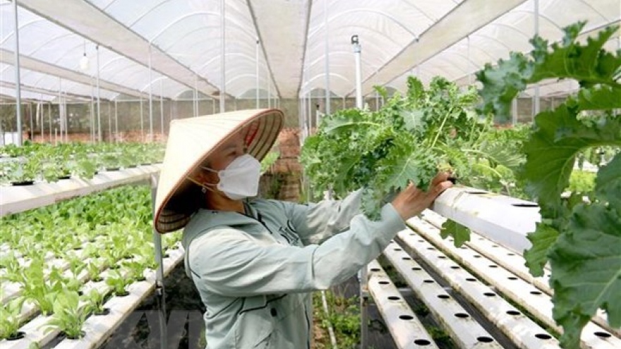 Ministry proposes adding further taxpayers to compulsory social insurance
