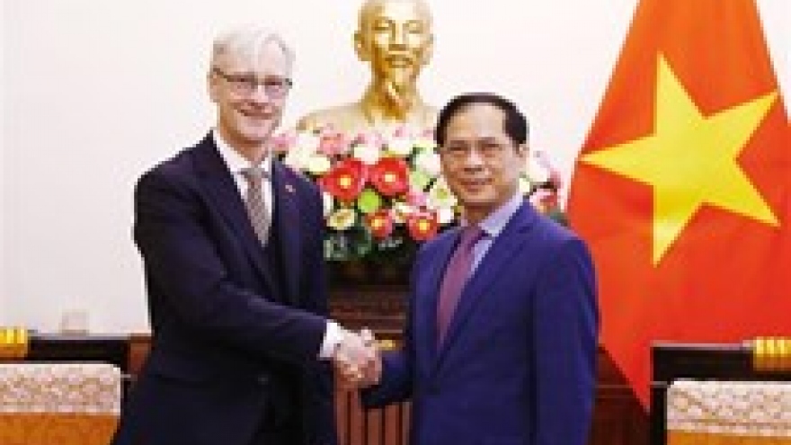 Vietnam highly values traditional ties with Norway: Foreign Minister