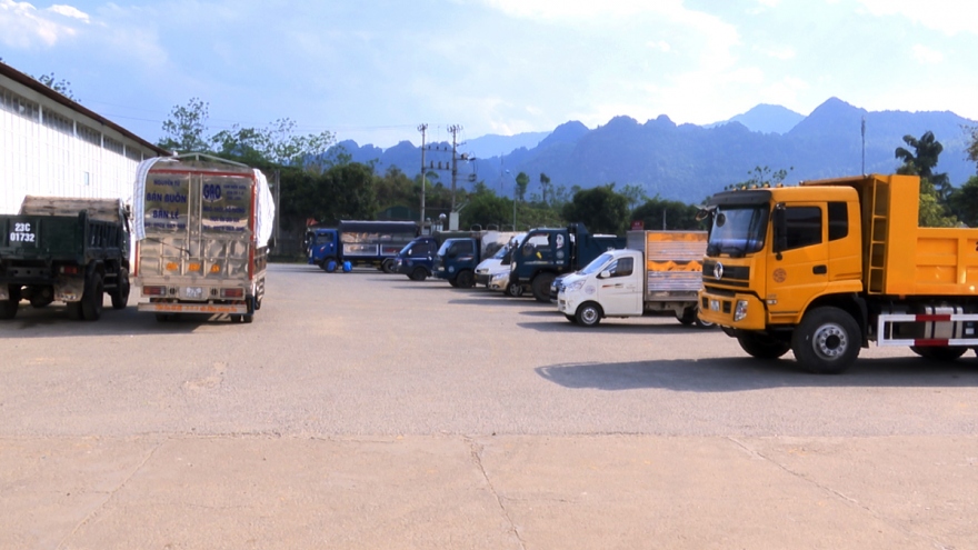 Tạm giữ hình sự 1 đăng kiểm viên Trung tâm Đăng kiểm xe cơ giới Lai Châu