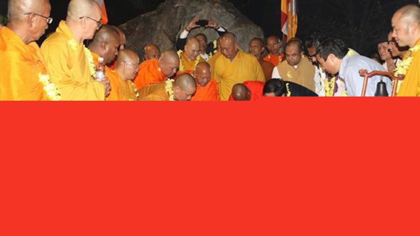 Sapling from world's longest-living Bodhi tree planted in Bai Dinh pagoda