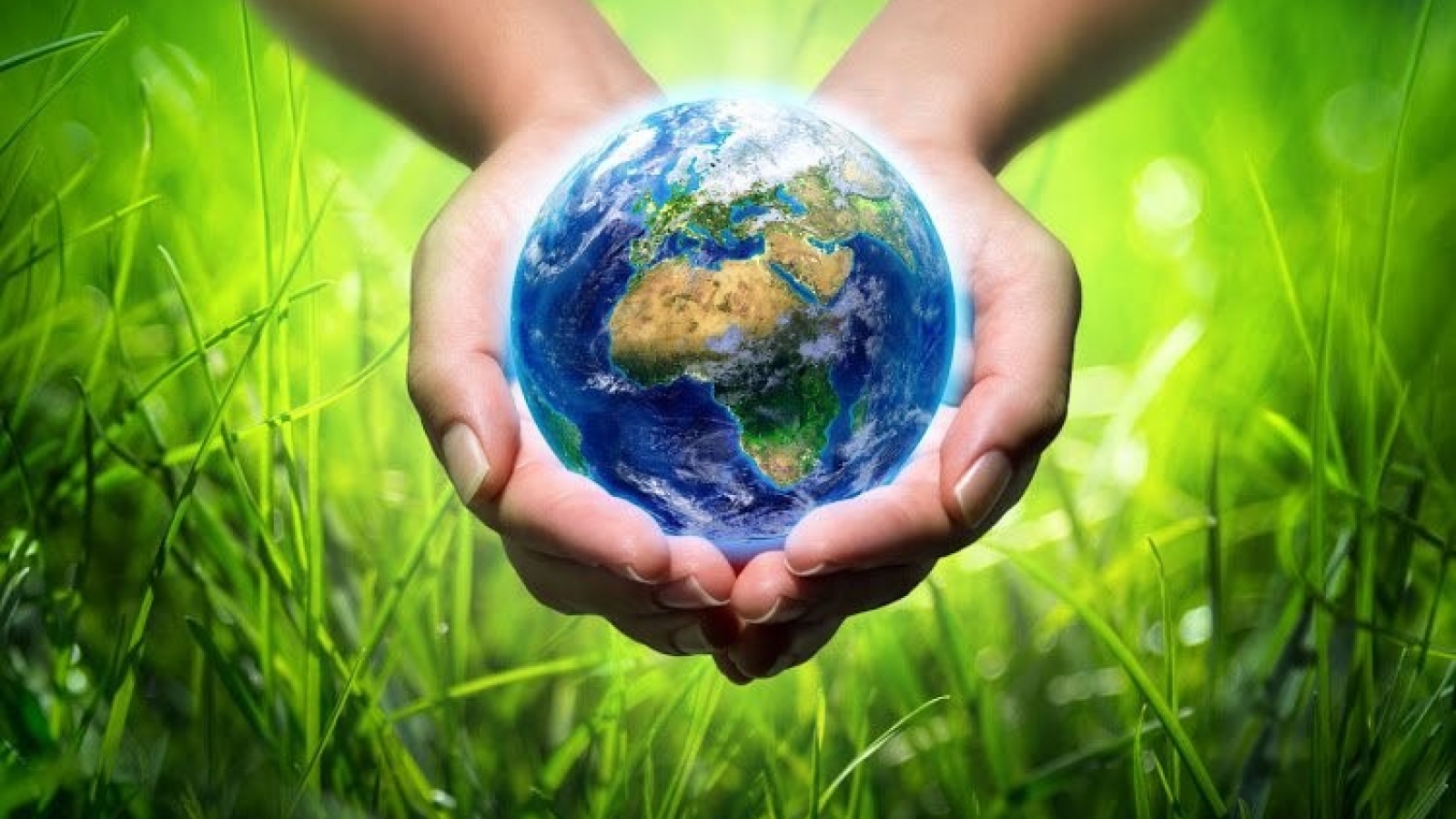 Vietnam targets eliminating substances harmful to ozone layer