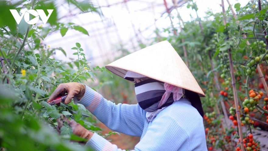 Rà soát lộ trình thực hiện các mục tiêu phát triển bền vững của Việt Nam