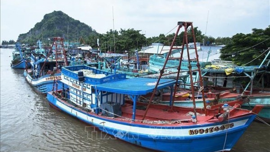 Localities fighting IUU fishing with strong determination