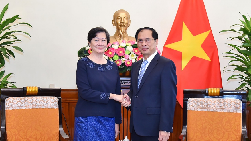 Bộ trưởng Bùi Thanh Sơn tiếp Đại sứ Campuchia Chea Kimtha