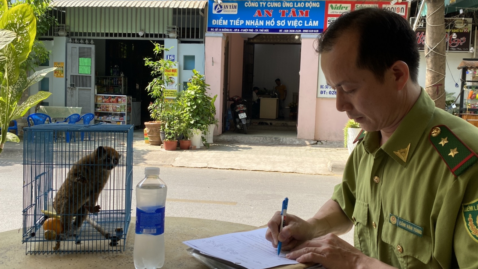 Con cù lần vào nhà người dân ở TP.HCM lúc rạng sáng