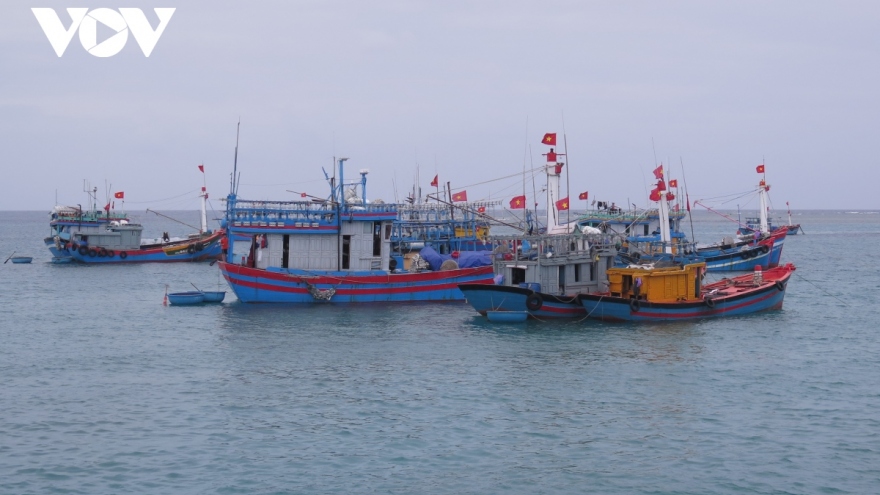 Vietnam Fisheries Society opposes China’s fishing ban in East Sea