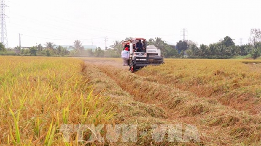 Hanoi to host Global Conference on Sustainable Food Systems