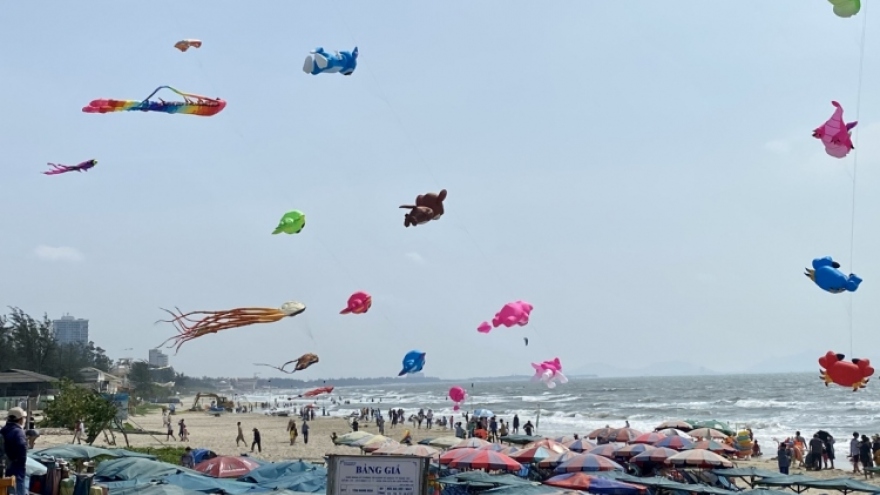 Vung Tau kite flying festival excites crowds