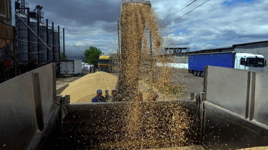 Slovakia cấm nhập khẩu ngũ cốc và các sản phẩm nông nghiệp khác của Ukraine